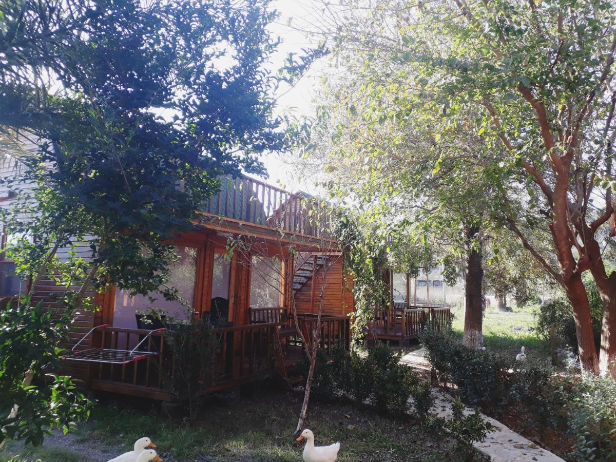 달라만 Otantik Tas Ev B&B 외부 사진